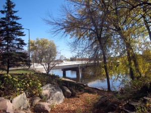 wisconsin rapids - trees