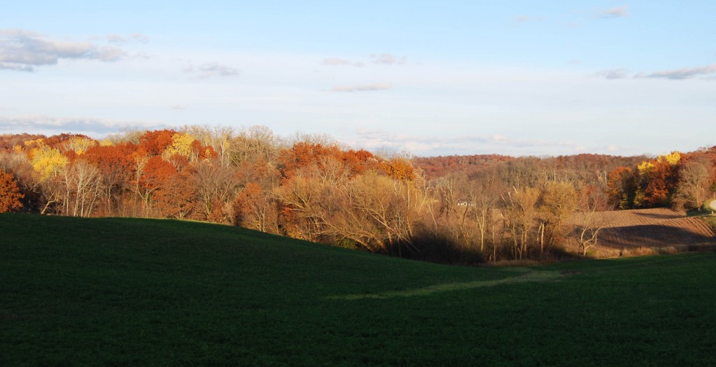 The view from Vermont Lutheran Church