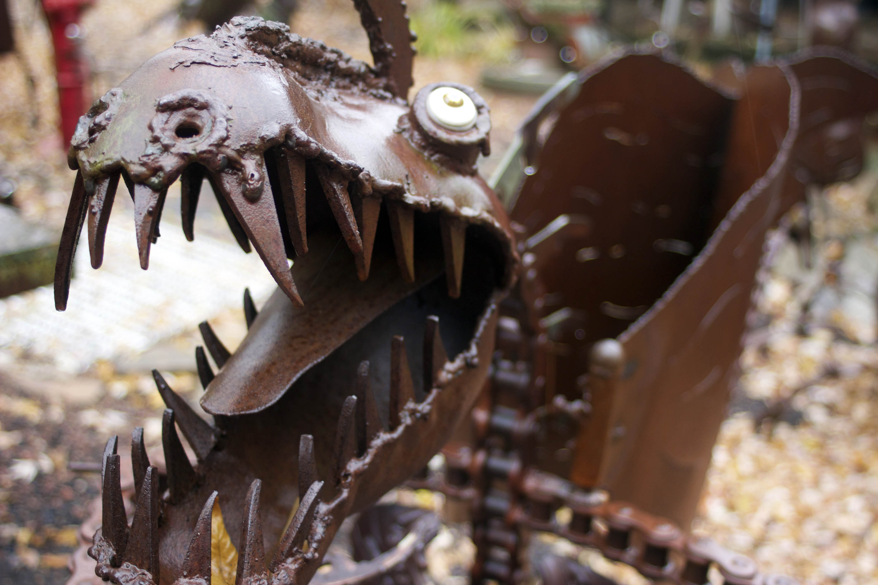 A creature from the marsh gazes out with intensity and a fierce snarl.
Photo by: Zachary Arostegui